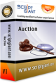 Auction Website